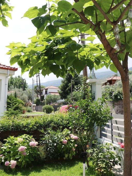 Lia'S Studio Skotina Dış mekan fotoğraf